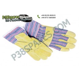 Gloves - Winching - All Models