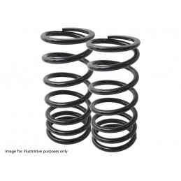 Range Rover P38 MKII Air to Coil Spring Conversion Kit 1995-2002