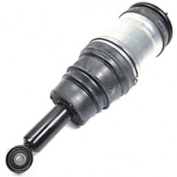 Rear Discovery 3 LR3 EAS Air Suspension Shock Absorber and Air Bag Assembly 2008-2009 www.p38spares.com air, rear, spring, bag, 