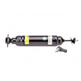 Arnott   Rear Air Suspension Shock Buick Lucerne, Cadillac DTS Fits Left or Right 2006-2011 - Arnott - supplied by p38spares spr