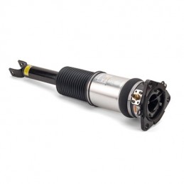 Arnott   Remanufactured Rear Right Audi A8 S8 (D3) Normal Suspension Air Suspension Strut 2002-2009 - supplied by p38spares 