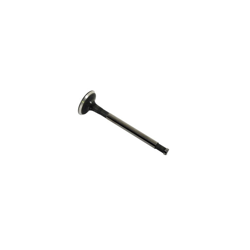  Valve Exhaust Cylinder - Black - Land Rover Discovery 2 4.0 L V8 Models 1998-2004 - supplied by p38spares valve, v8, 2, rover,